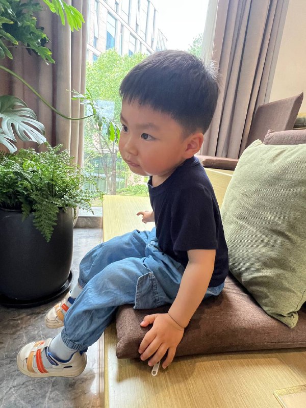 假装在看书假装在看书