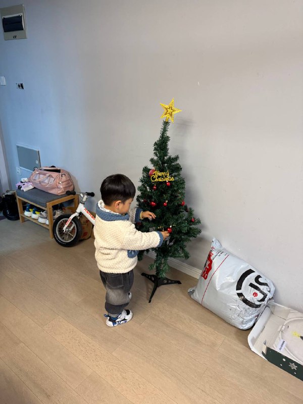 准备过圣诞节咯准备过圣诞节咯